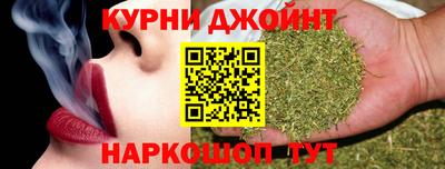 сатива Тверь