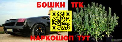 сатива Тверь