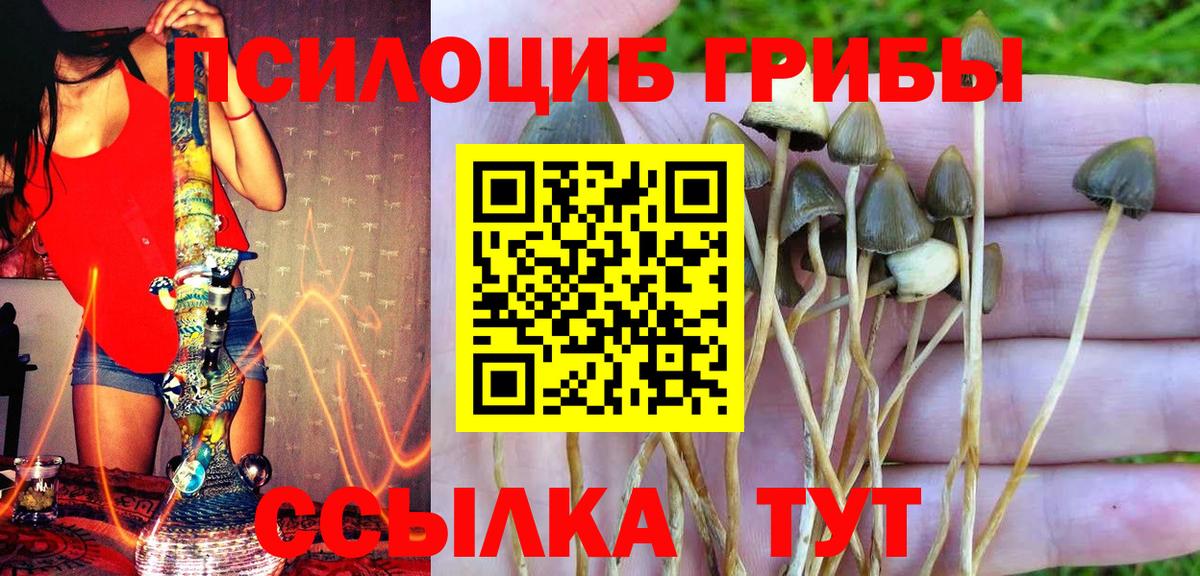 Псилоцибиновые грибы MAGIC MUSHROOMS Октябрьский