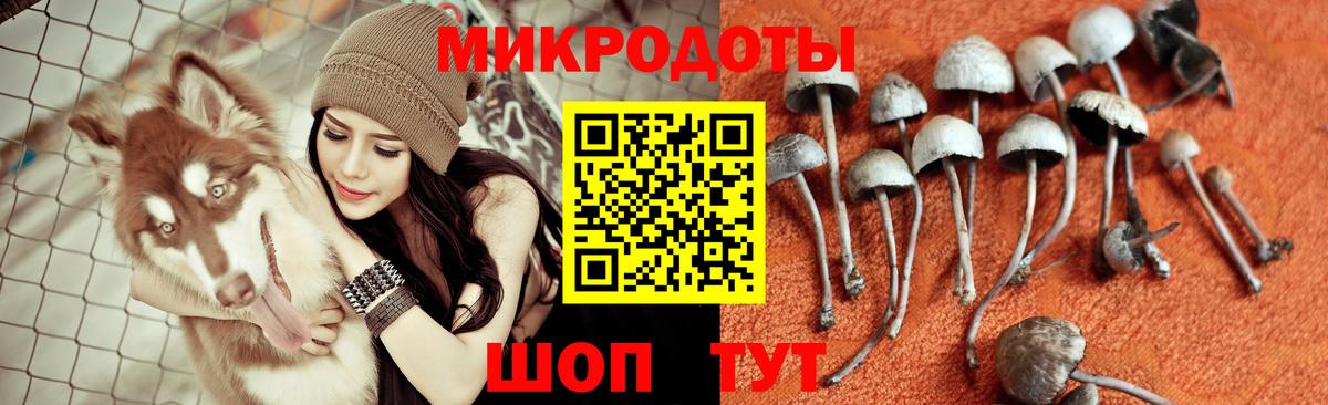 МЕТАМФЕТАМИН  ЭКСТАЗИ  Гашиш  Вход с VPN  Октябрьский  Бошки Шишки  МЕФ кристаллы  Cocaine  Мефедрон 