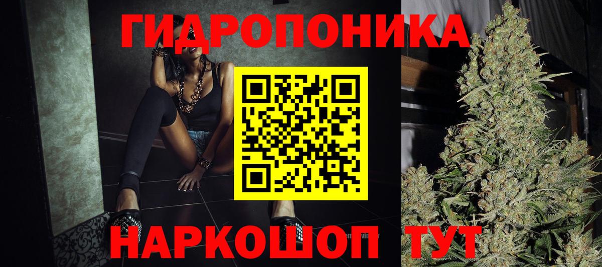 Каннабис сатива Октябрьский